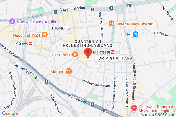 Iocca Gaetanina