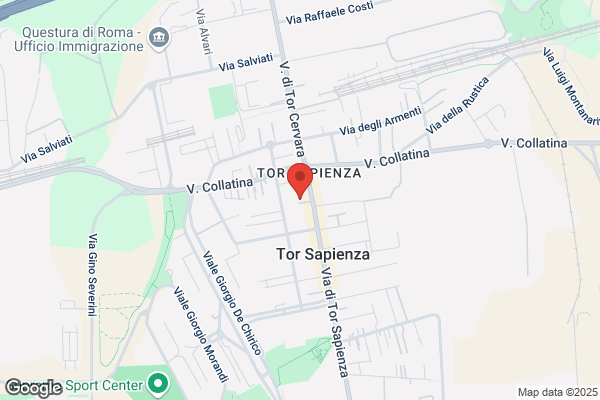 Macera sante (Rag.)