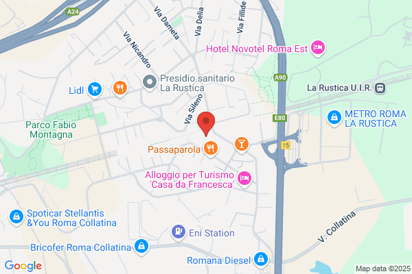 Il Tulipano Di Zaurrini Caterina