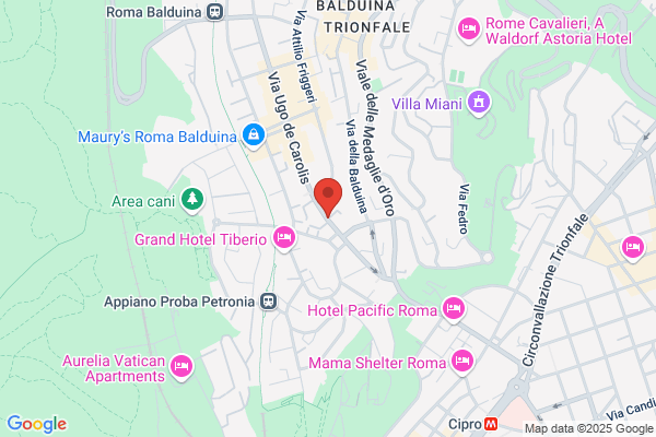Frollinis Cine Video Services Arte E Spettacolo Srl