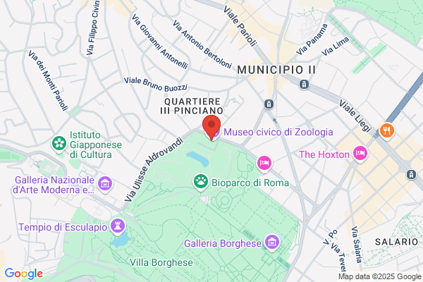 Istituto Italiano Di Paleontologia Umana