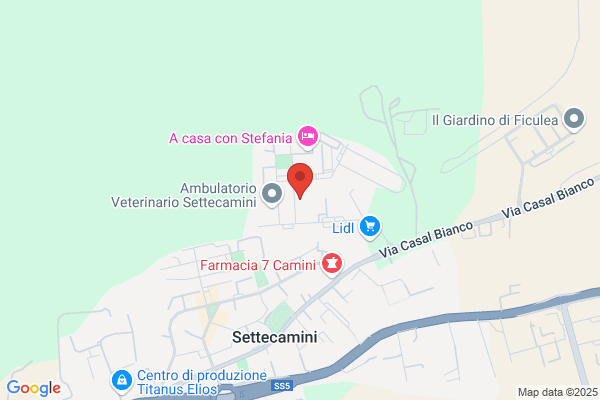 Seuro Piccola Soc. Cooperativa Arl
