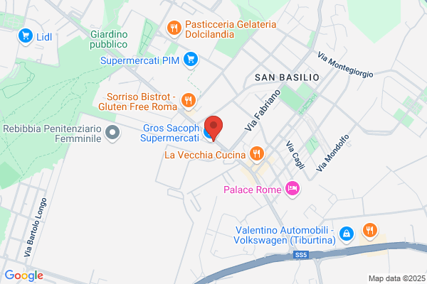 Ric. Auto S. Basilio Srl