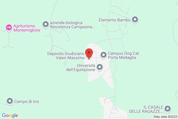 Deposito Giudiziario Valeri Massimo