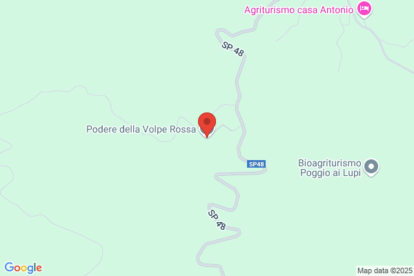 Volpe francesco