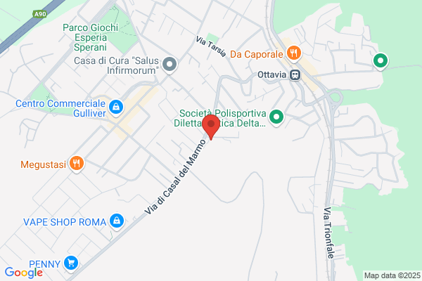 Flemi Gas Manutenservices Snc Di De Lellis Liliana