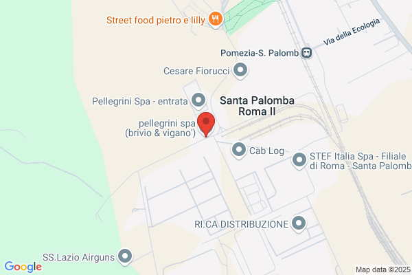 Pellegrini S.P.A.