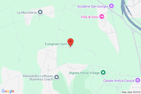 Evergreen Gym