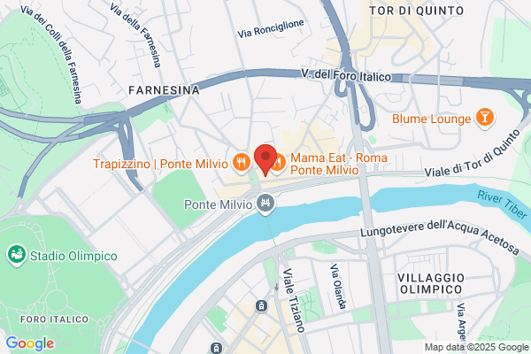 Fisiokinesiterapia Ponte Milvio Srl