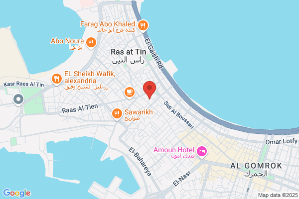 El Mansoury For Import And Export