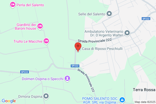 Casa di Riposo Vito Peschiulli