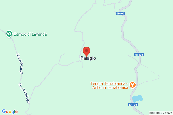 Palagi antonio (P.I.)