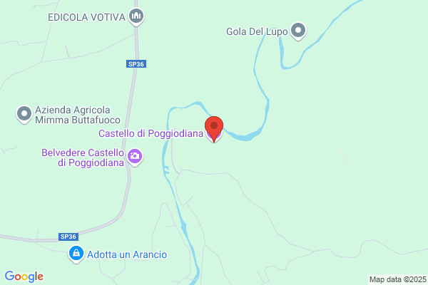 Castello Di Ribera - Olio Extra Vergine Di Oliva