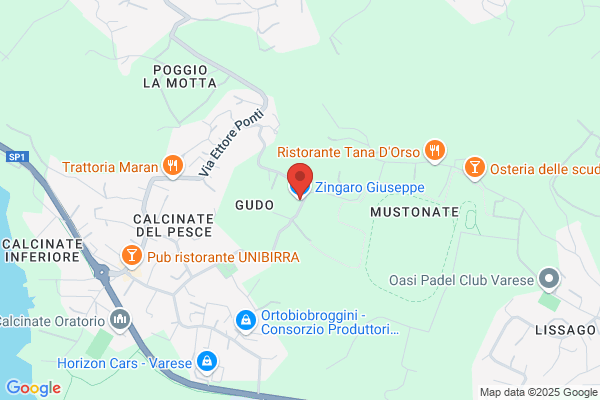 Zingaro giuseppe