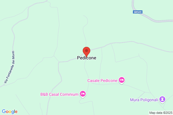 Pedicone agatino