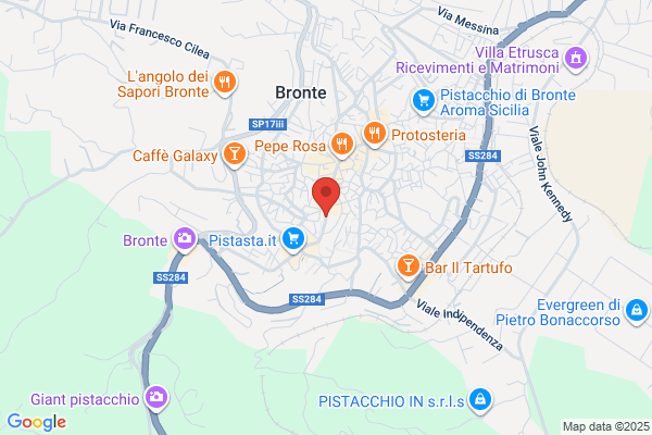 Brunetto Viaggi S.R.L.