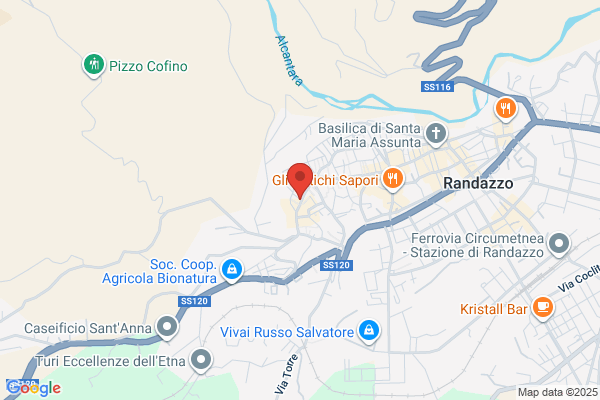 Mannino olimpia (Dr.)