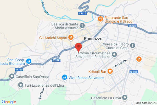 Santanoceto rosa (Dr.)