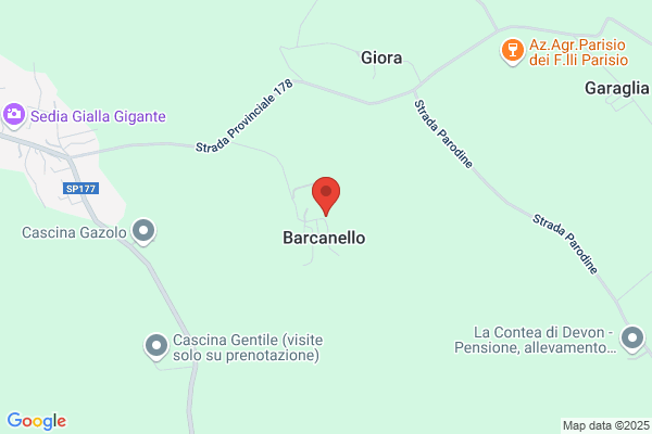 Pestarino