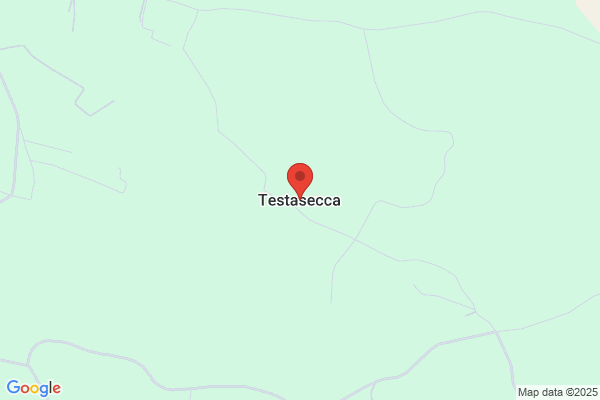 Testasecca gioacchino (Dr.)