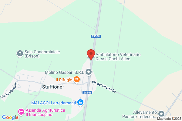 Ghelfi Giuseppe
