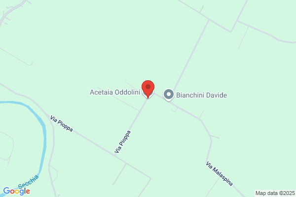 Oddolini paola