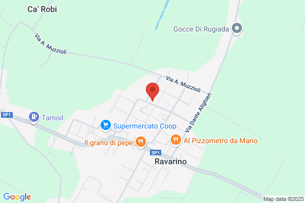 Sassi Giglio Autotrasporti