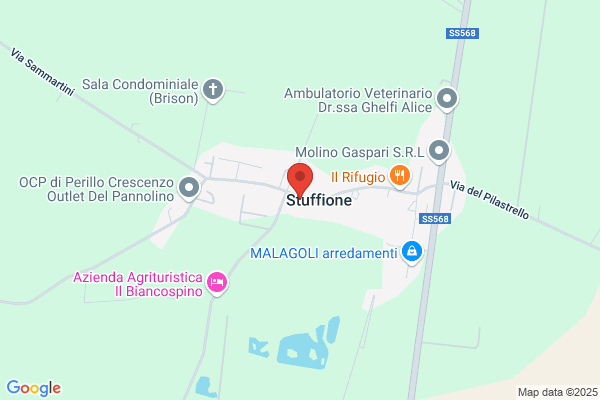 Veronesi romeo