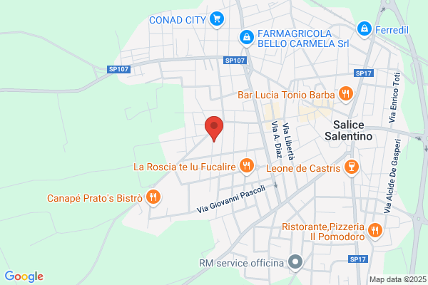 Saliceti Tanzi carla