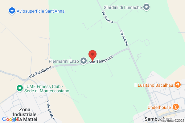 Mandolini Srl