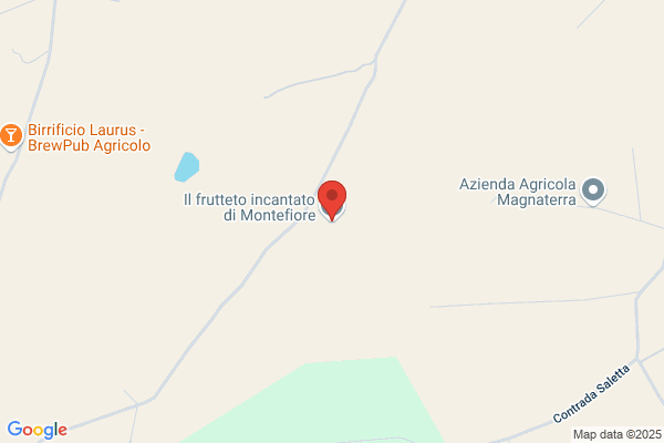 Marchigiani guido