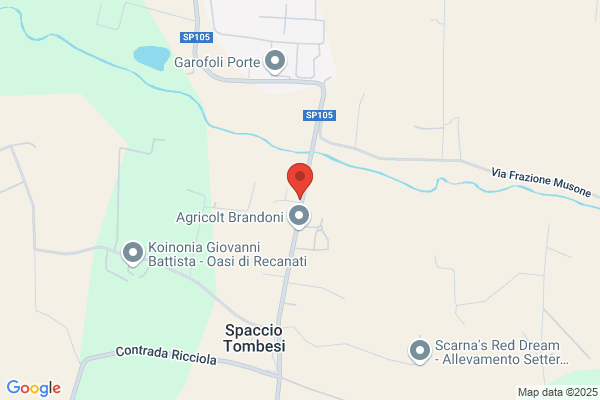 Sampaolesi edmondo