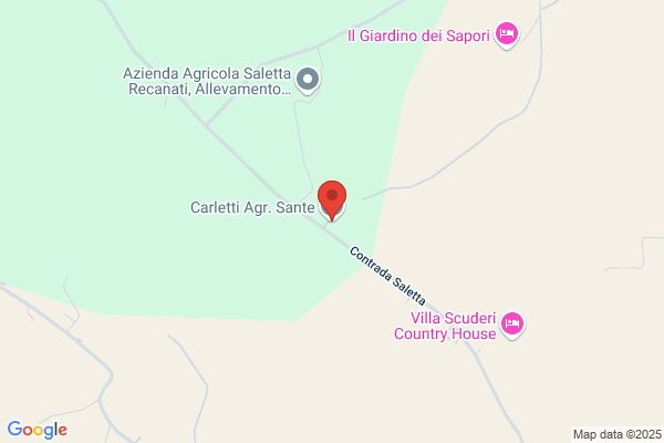 Carletti Sante Autotrasporti