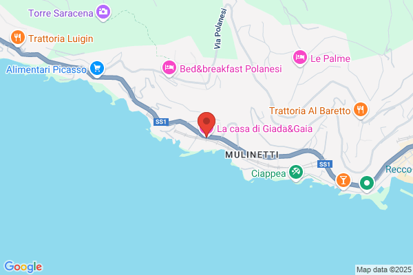 Gaia Srl