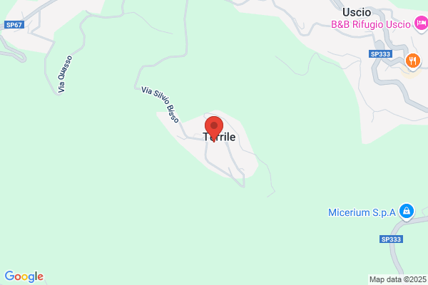 Terrile federico (Cav.)