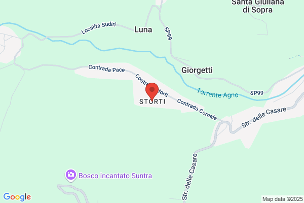 Storti antonio