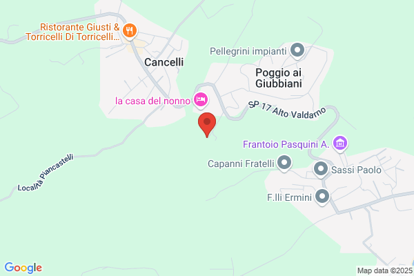 Falsini Luigi