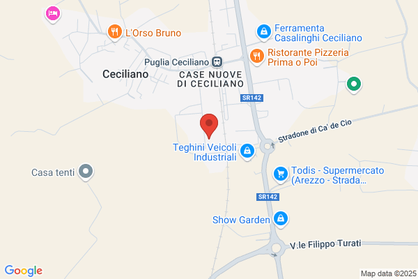 Nocciolini loris