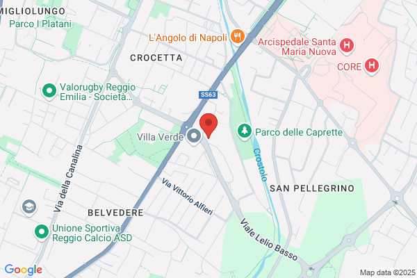 Istituto Investigativo Reggiano