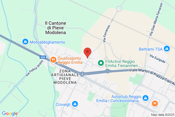 Eligraf 81 Trasportatori