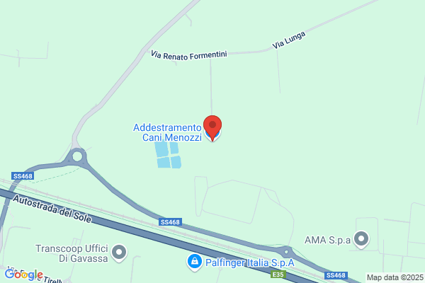 Addestramento Cani Menozzi
