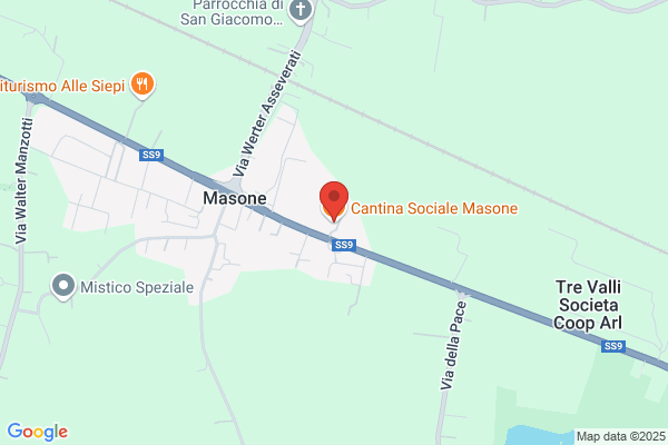 Cantina Sociale Masone - Campogalliano S.C.A.