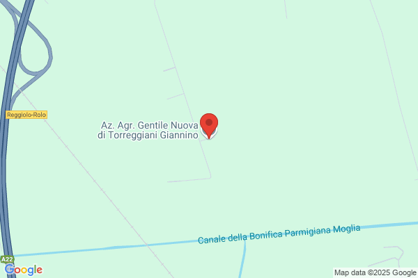 Torreggiani F.Lli