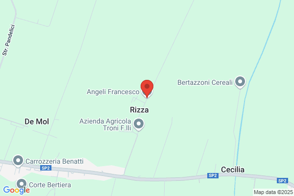 Angeli Francesco