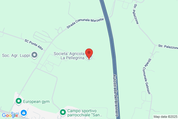 Azienda Agricola La Pellegrina (S.P.A.)