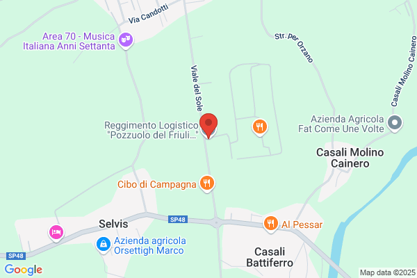 Forze Armate/8 Rgt. Log. Di Manovra Carso