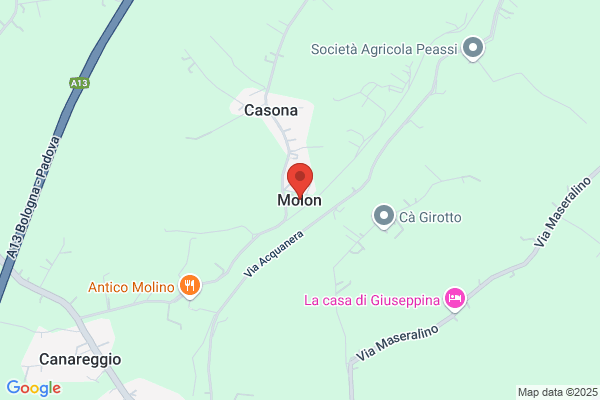 Molon franca