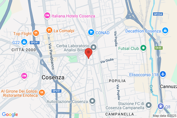 Electrolux Zanussi Italia S.P.A.