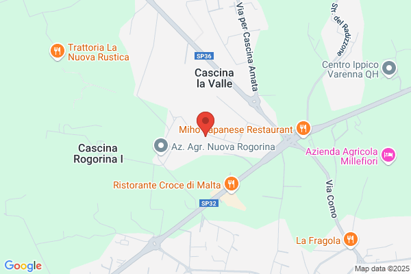 Ergon Societa A Responsabilita Limitata