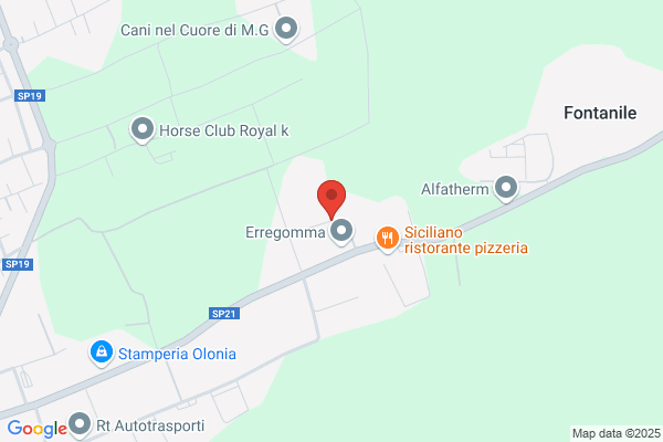 Mapelli enrico